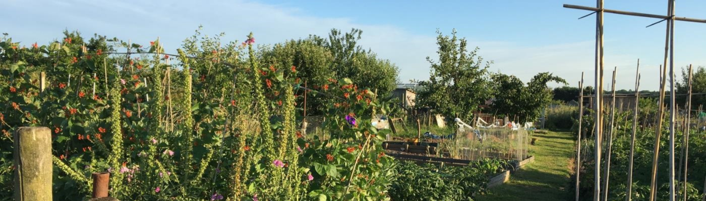 St John's Allotment Association